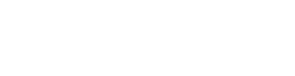 LOGO PROVEN HORITZONTAL BLANC